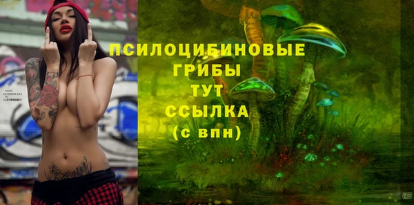 a pvp Зеленокумск