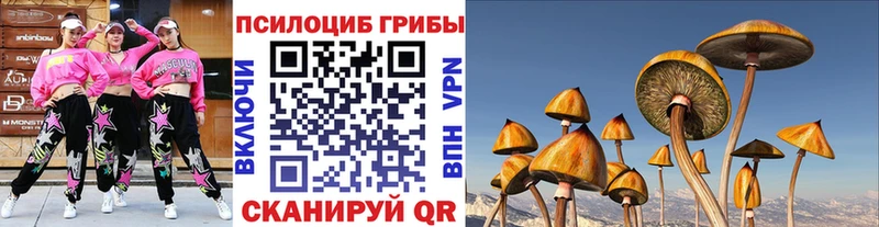 Купить  Десногорск  Псилоцибиновые грибы Cubensis 